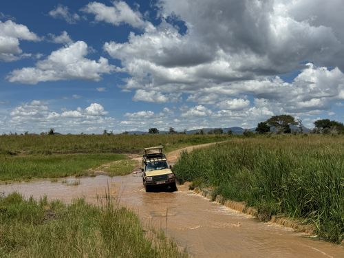 Bwindi Impenetrable Forest-Lake Mburo NP