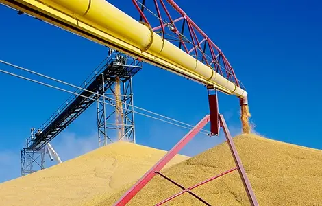 Testing of feed ingredients for cost-effective production