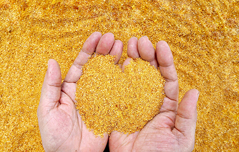 Testing of feed ingredients for cost-effective production