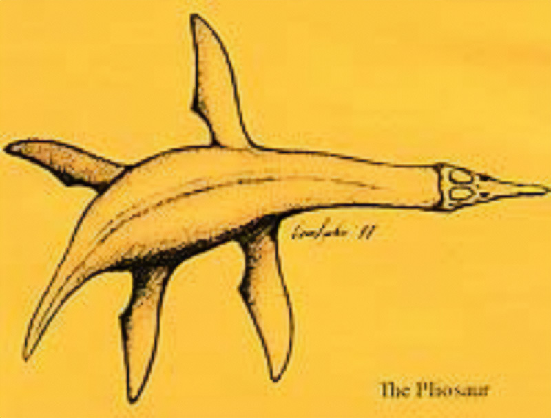 Illustration of a Plesiosaur with a long neck, flippers, and a streamlined body on a yellow background.