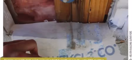 a wall growing mould