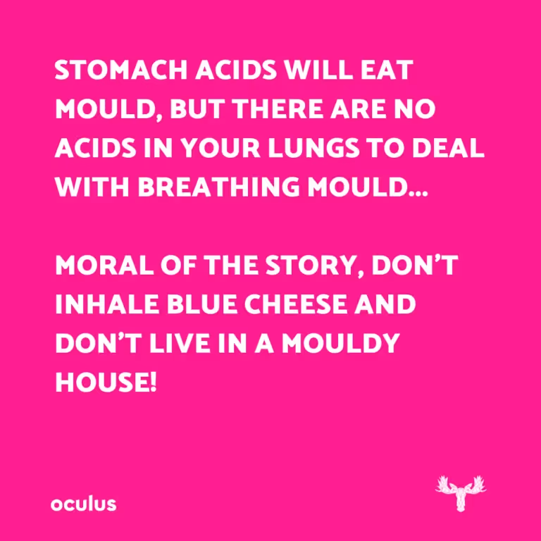 an instagram post about breathing in mould