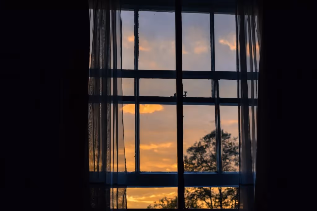 Sunset and tree through a window.
