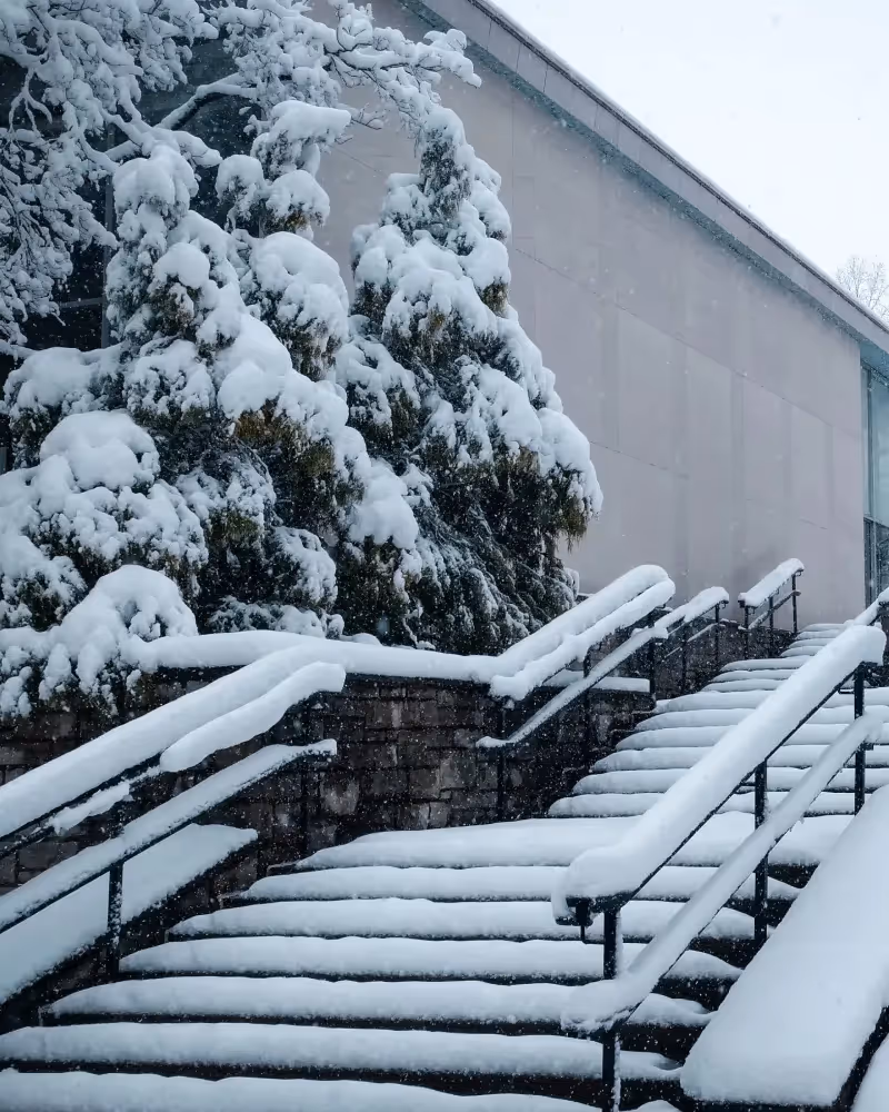 Large staircase covered in snow.