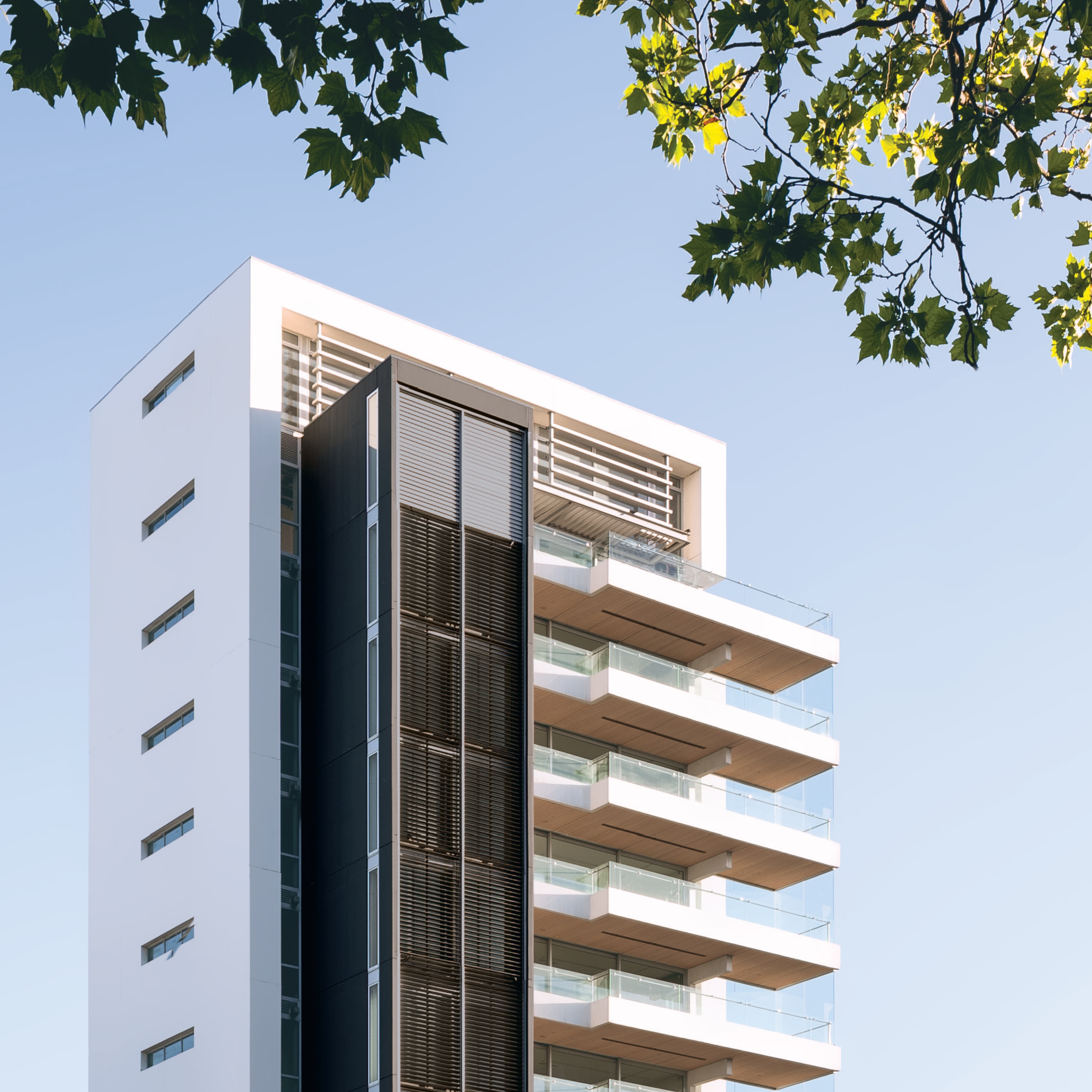 Oxford Terrace, a contemporary high-rise residential building in Christchurch, featuring a clean white facade, cantilevered glass balconies, and a vertical screen element. The structure is framed by leafy green tree branches under a clear blue sky, showcasing a blend of architectural precision and urban tranquillity.