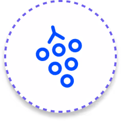 Grapes icon in blue circle border
