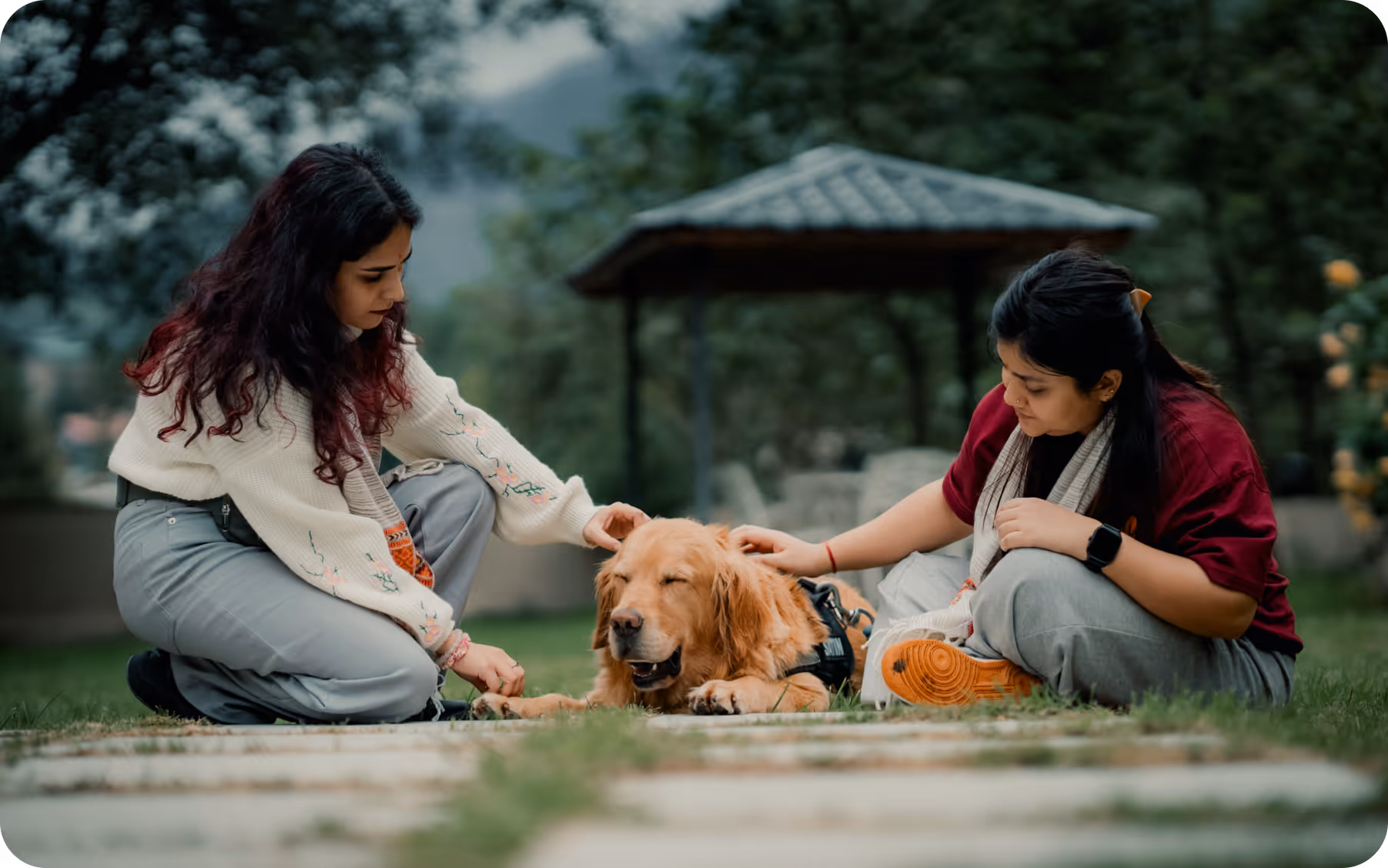 Employee caring pet
