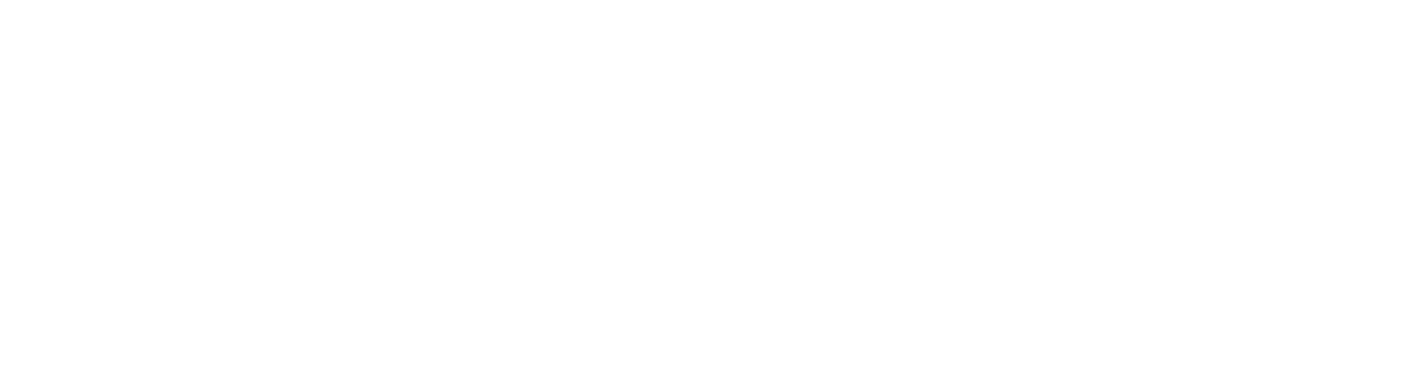 Vanguard logo
