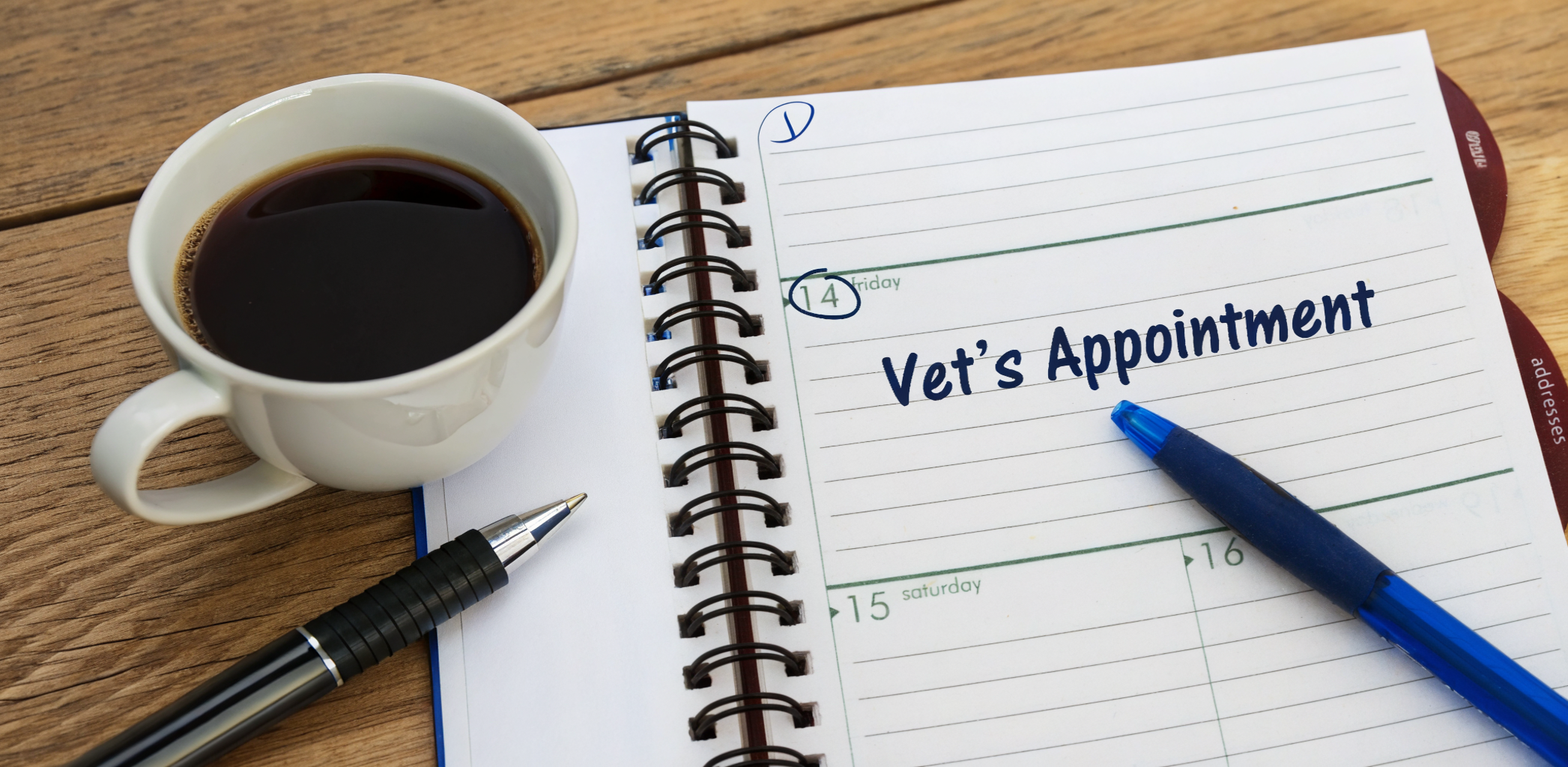 ​Could just one sentence transform outcomes in your clinic?