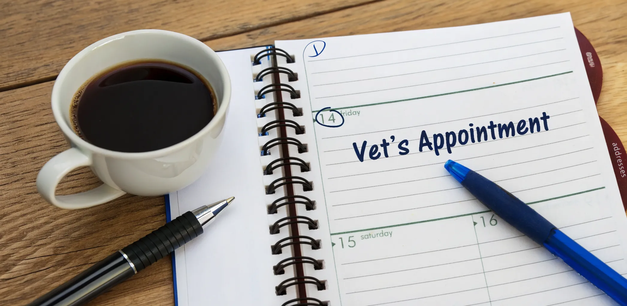 ​Could just one sentence transform outcomes in your clinic?