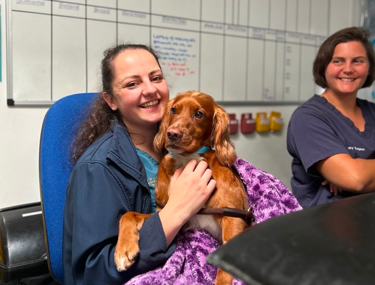 Modular online communication skills course for the whole Whiskers Vets team