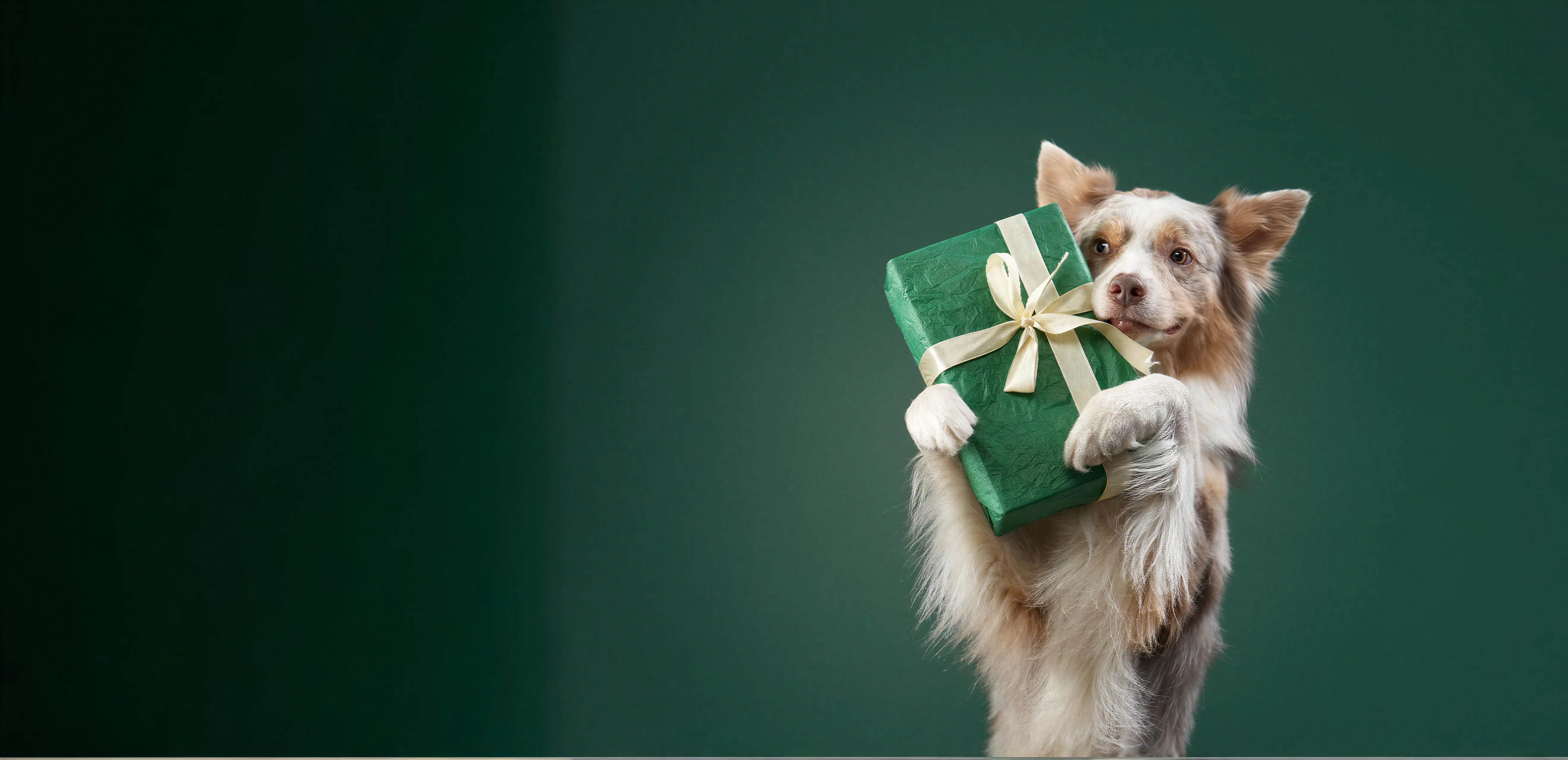 The psychology of giving: how reciprocity strengthens client relationships in veterinary practice