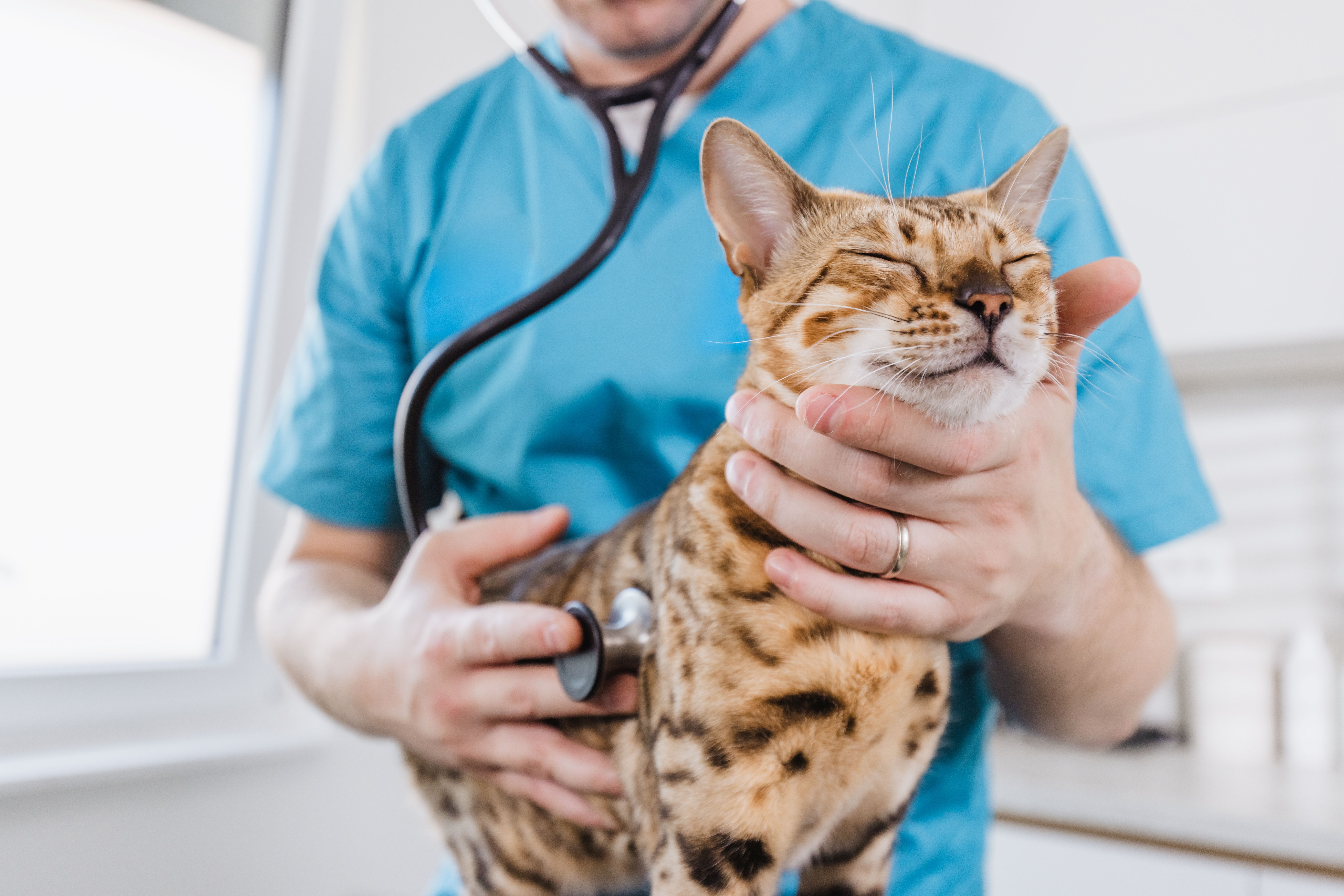 What does ‘communicating value’ mean in vet practice?