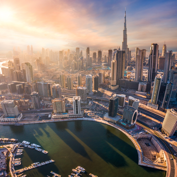 Expert-Guided Company Formation Services in the UAE Mainland