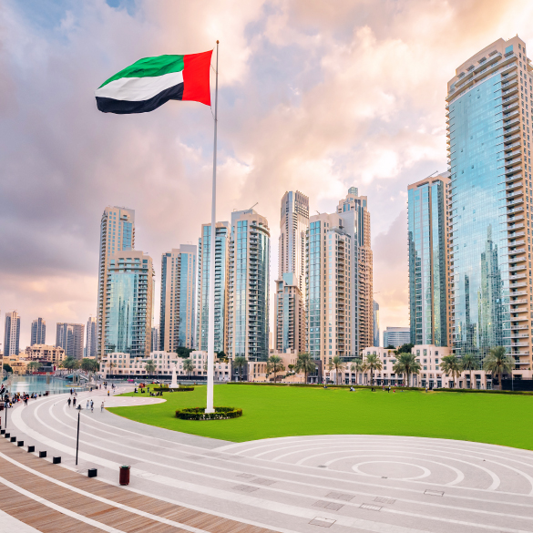 Expert-Guided Company Formation Services in the UAE Free Zones