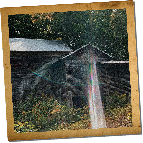 Cook's Mill