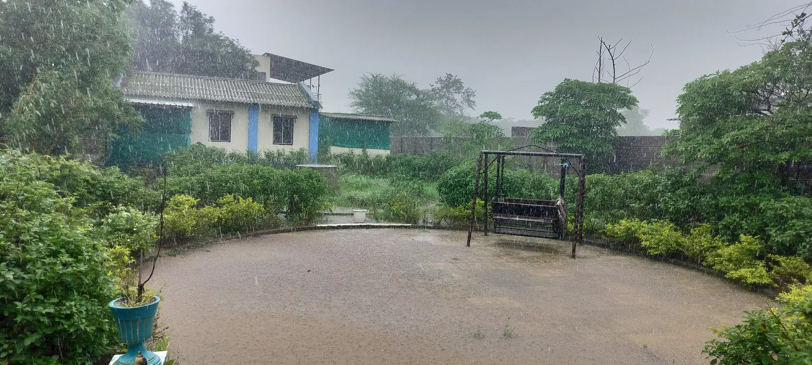 The GeriaTree home and gardens