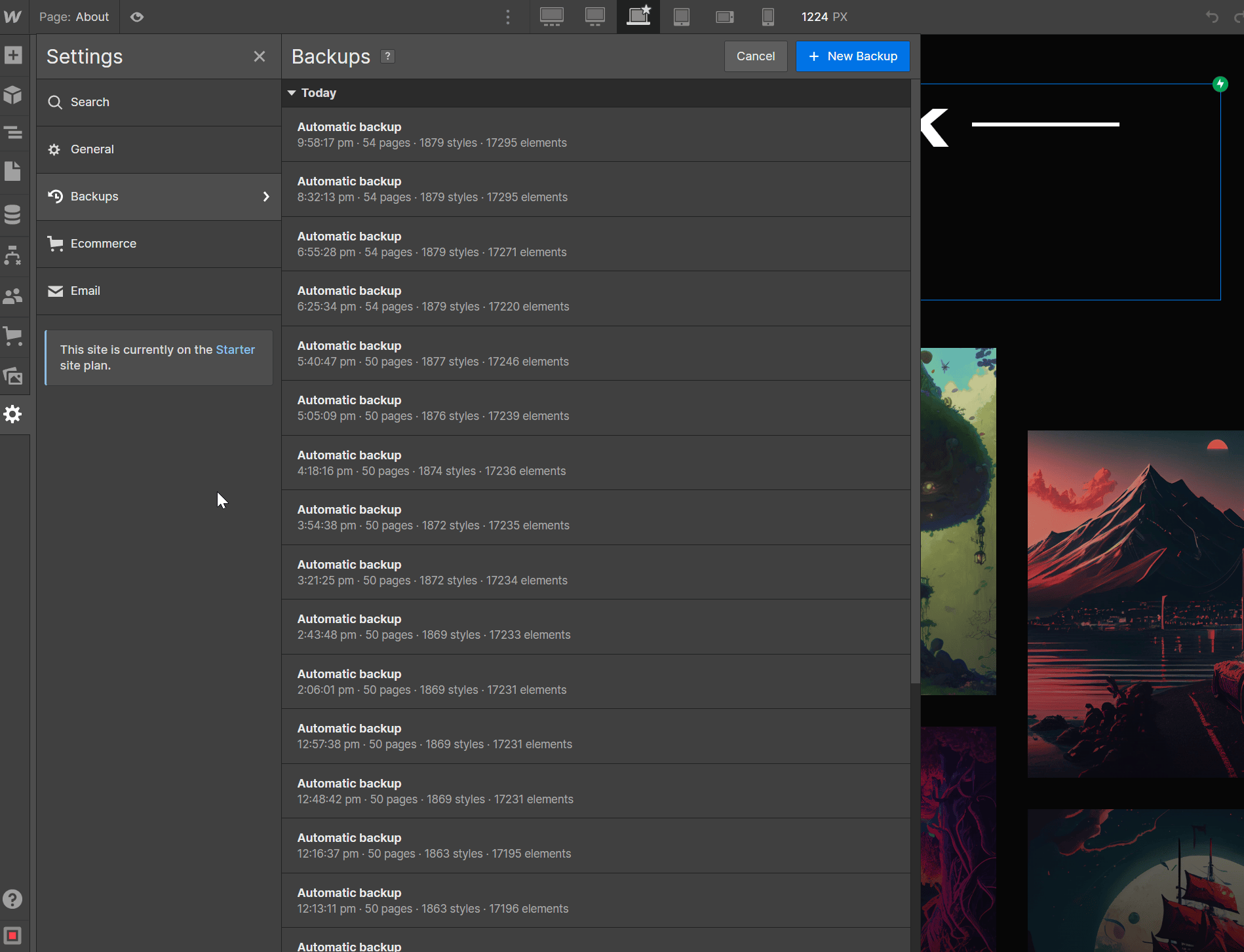 Backups - Illustrator X Webflow Template