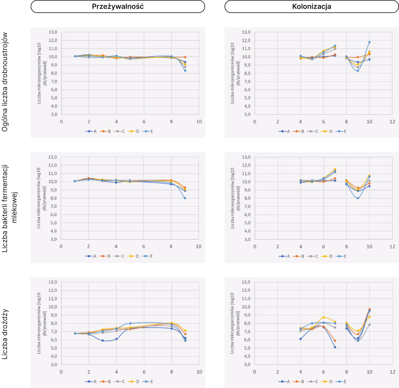 Dashboard mockup