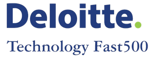 Deloitte Technology Fast 500