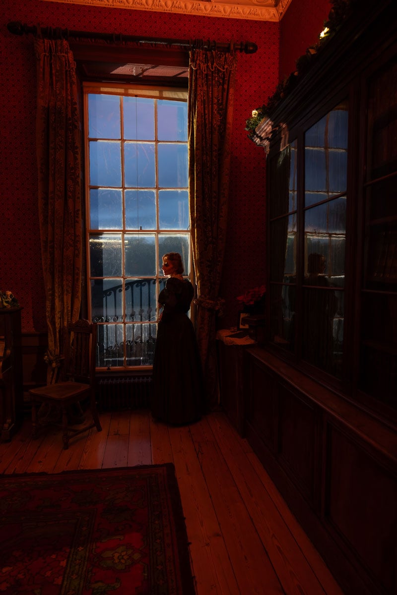 A lone figure looks out a tall georgian window