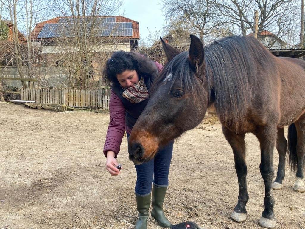 Kurzy komunikace se zvířaty od Anny – výuka intuitivního spojení se zvířaty, praktické vedení, prohlubování citlivosti a pochopení zvířecí duše.
