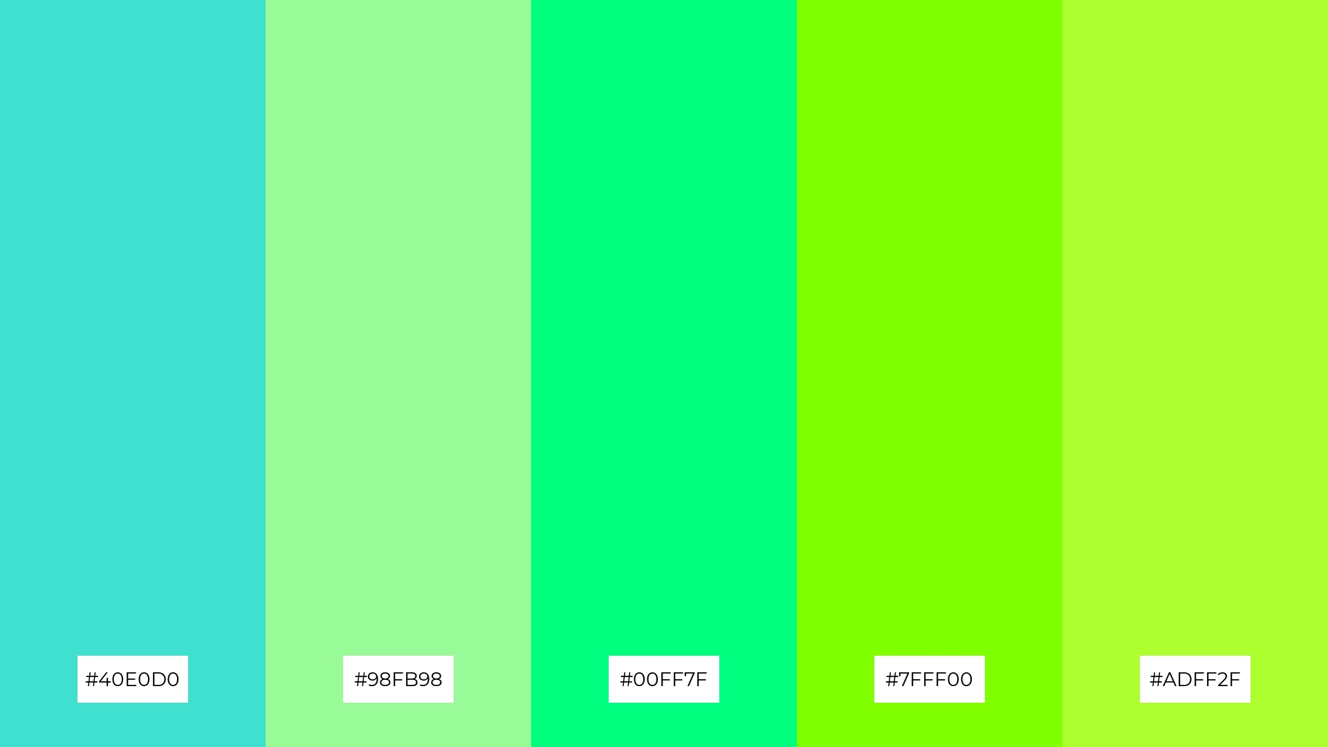 Fresh Mint