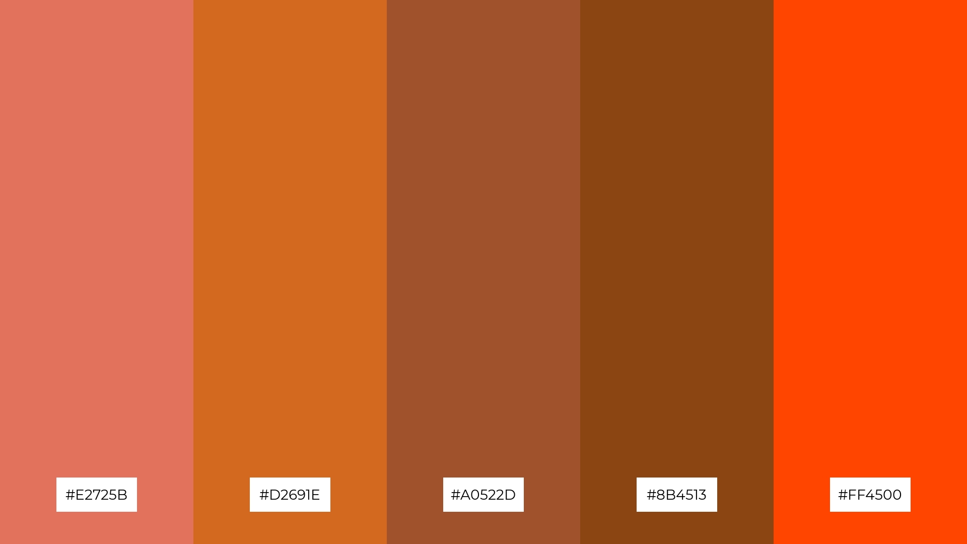 Terracotta Dreams