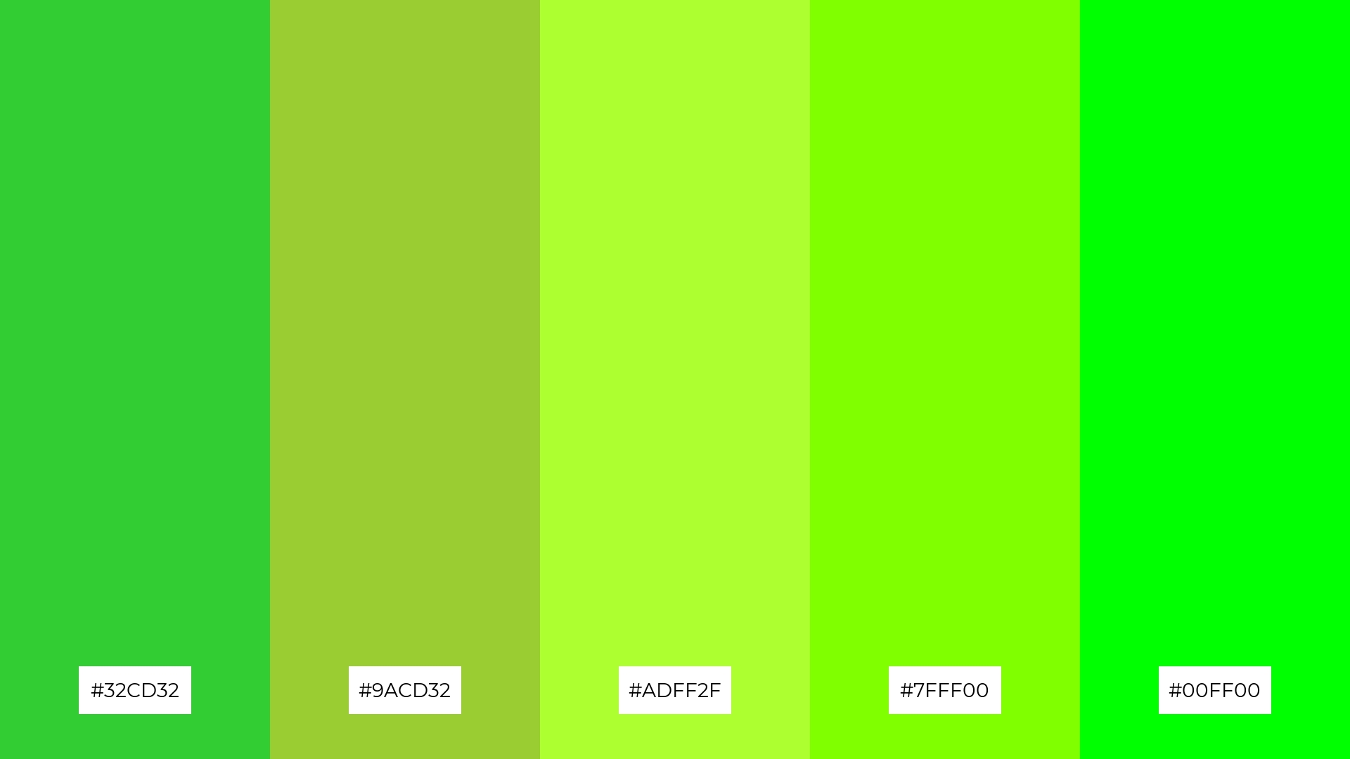 Fresh Lime