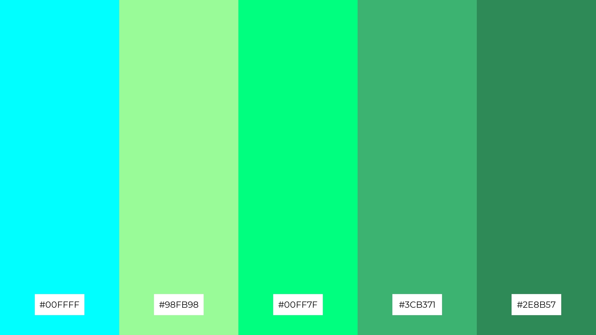 Cool Mint