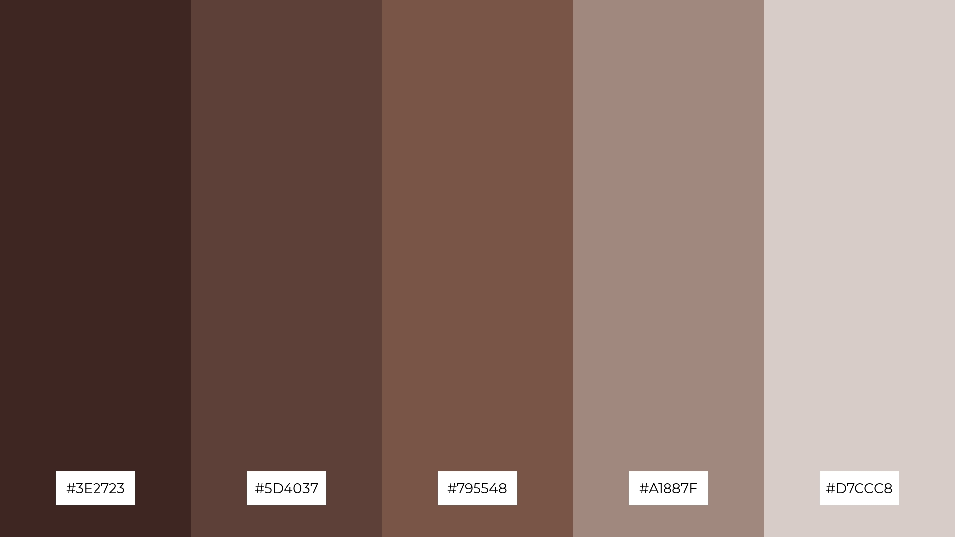 Cocoa Dream