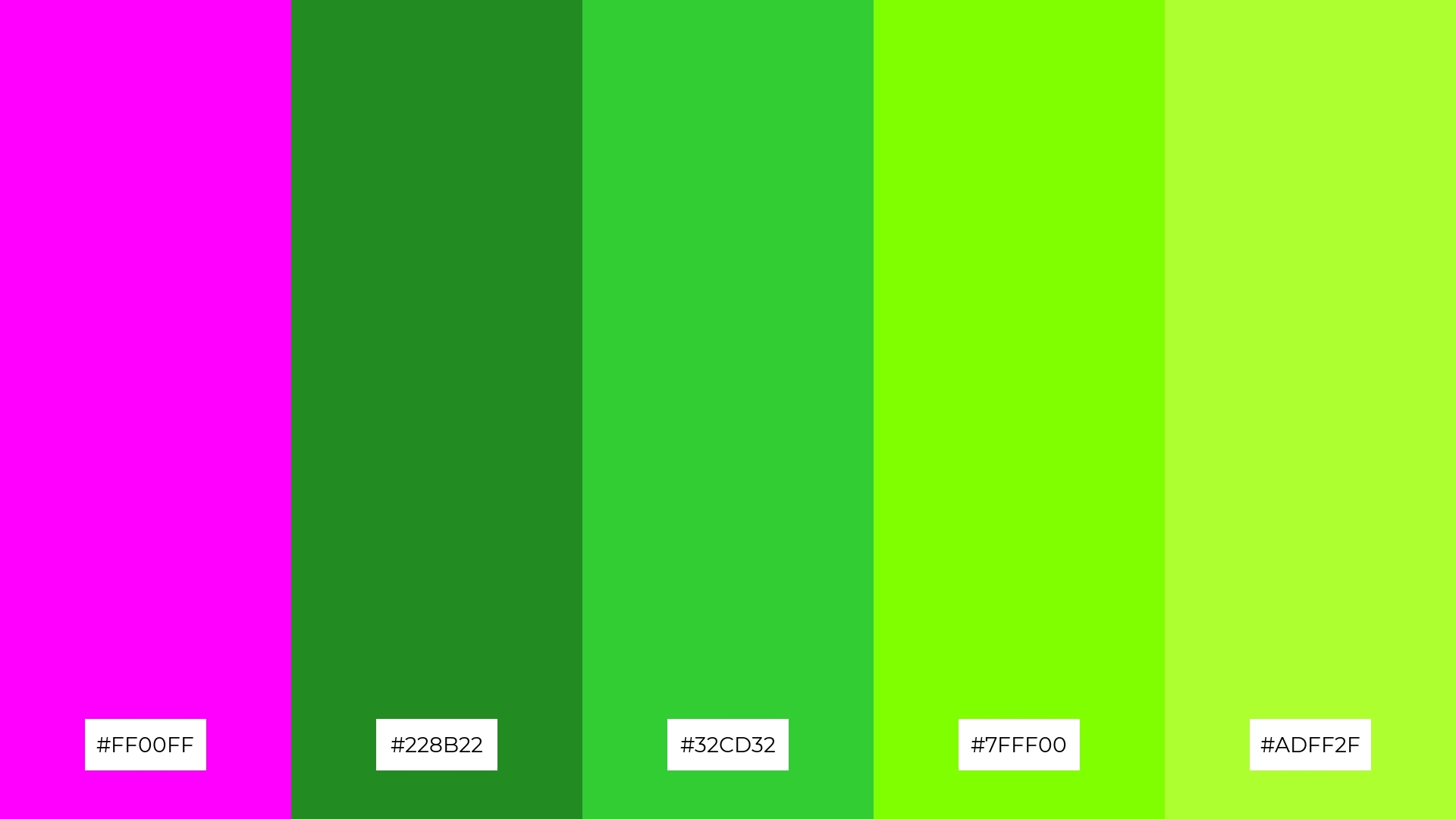 The Best 15 Magenta Color Palette Combinations - Piktochart