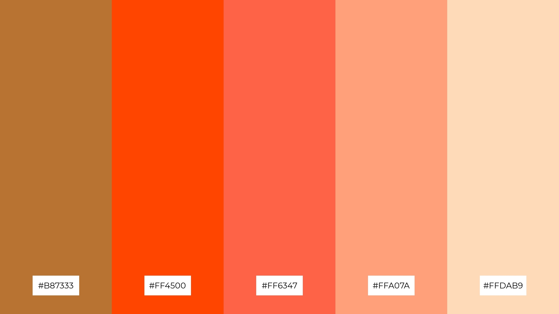 Sunset Hues