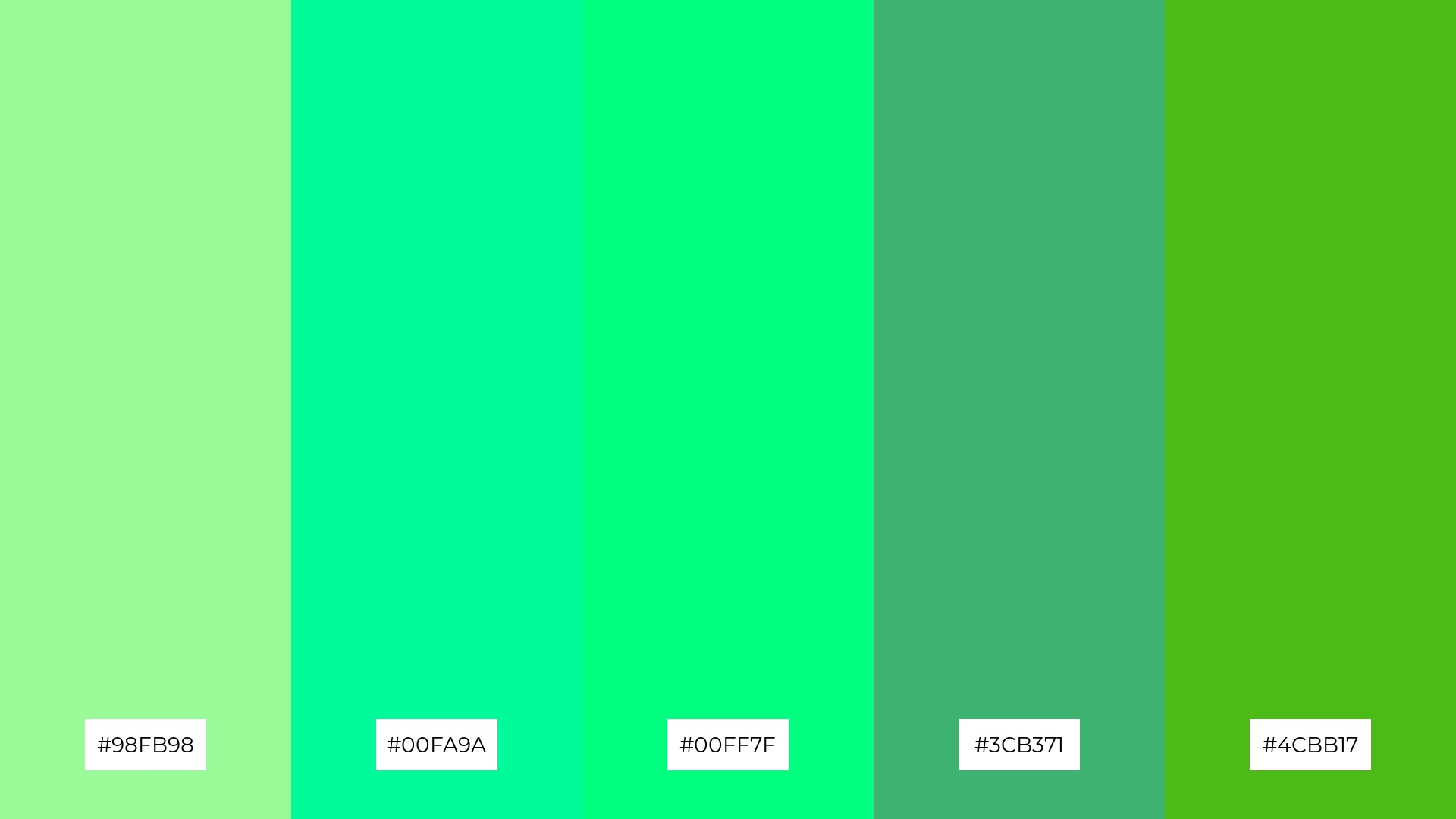 Fresh Mint