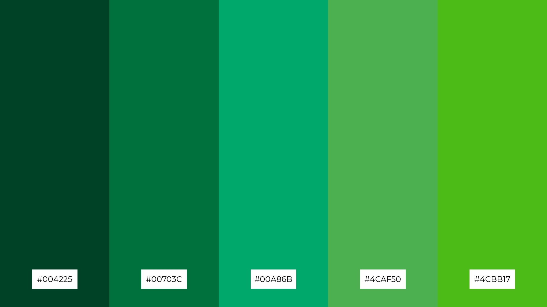 Emerald Garden