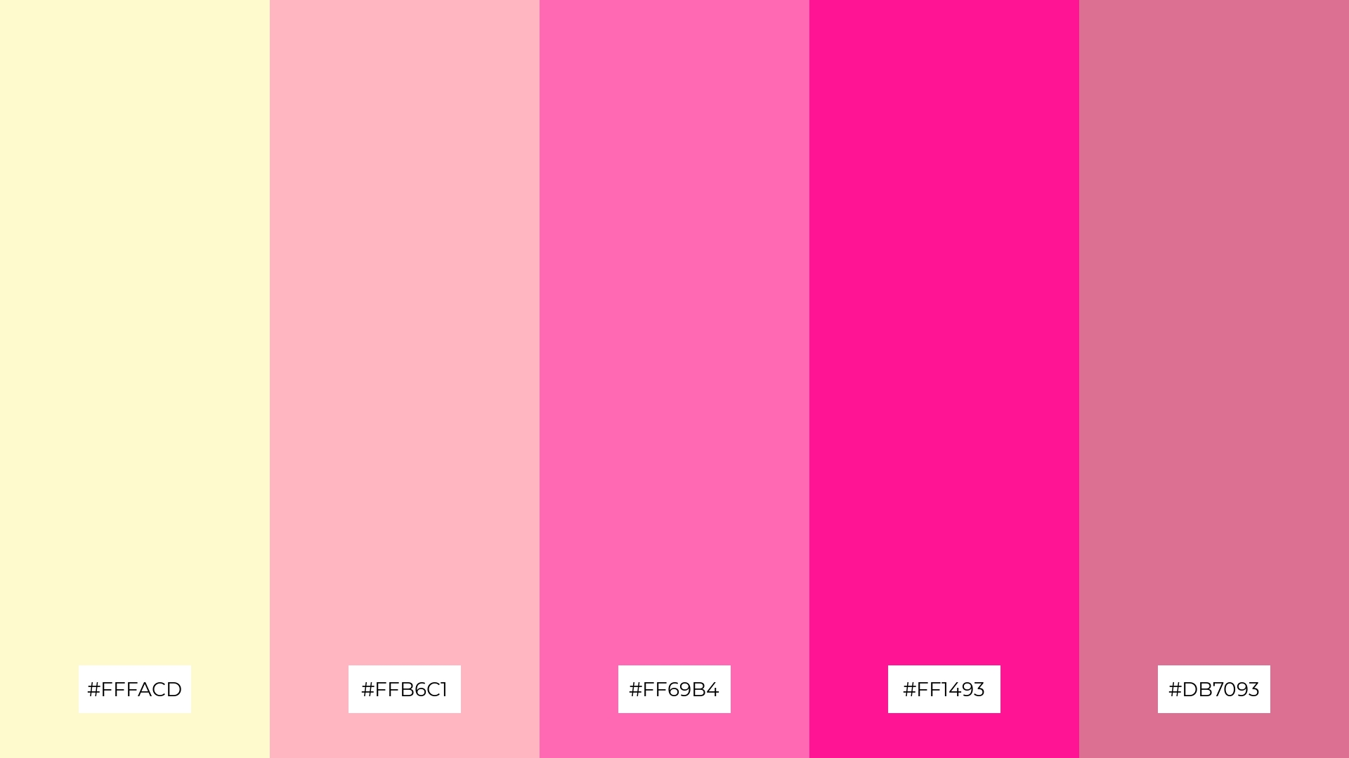 Pastel Dream