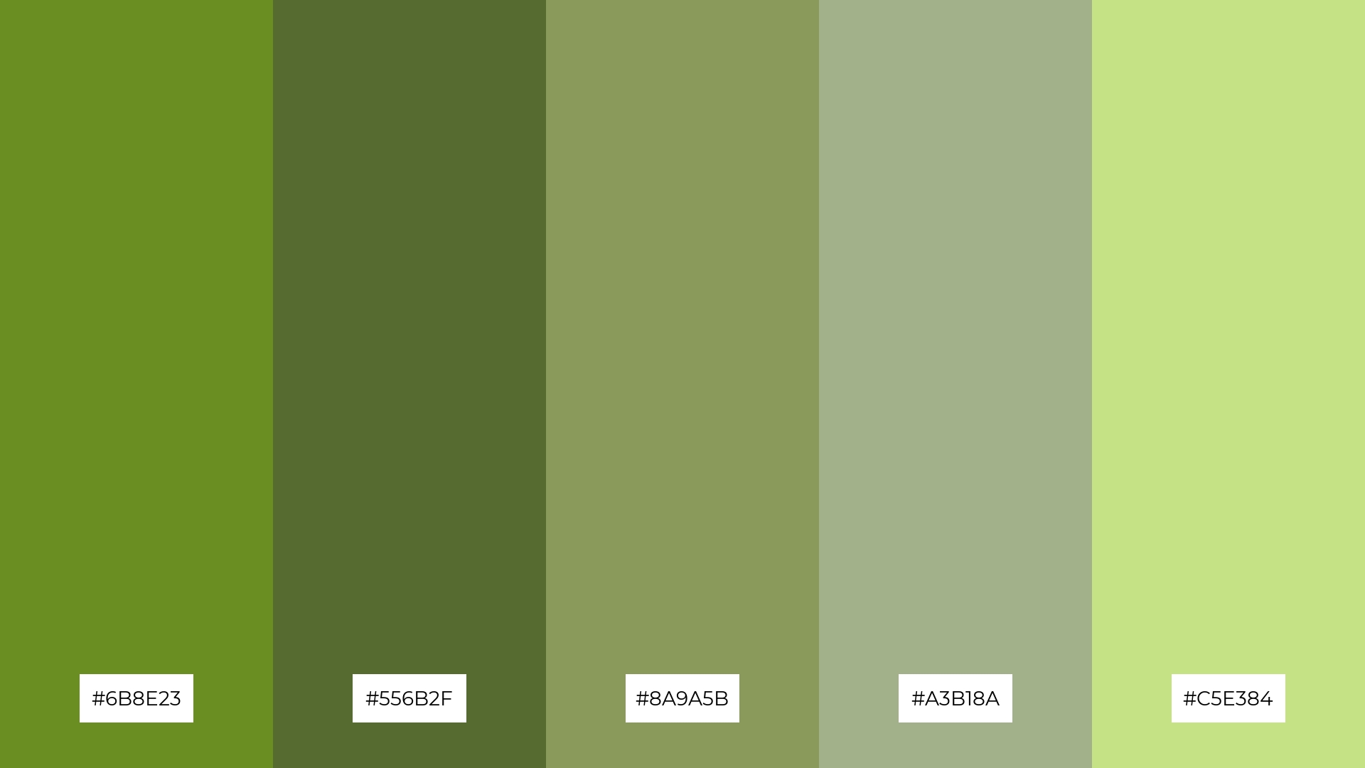 The Best 15 Moss Green Color Palette Combinations - Piktochart