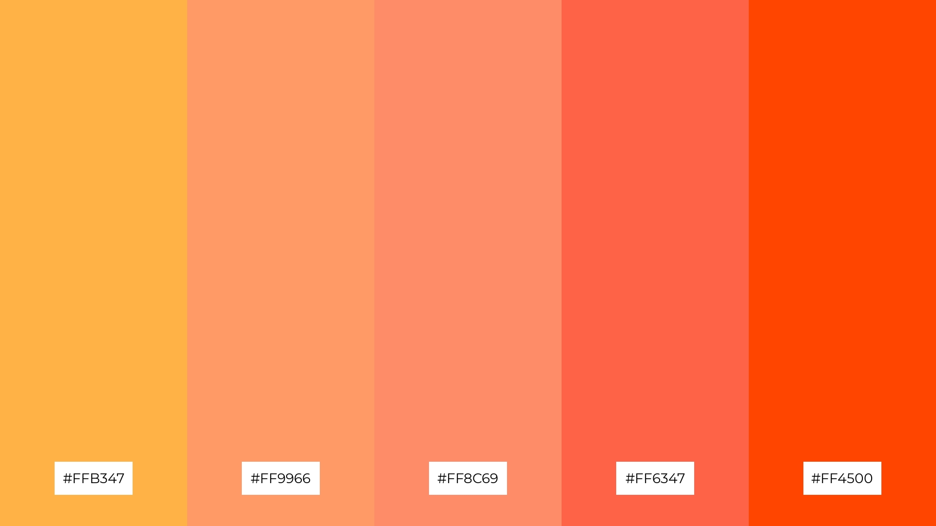 Apricot Glow