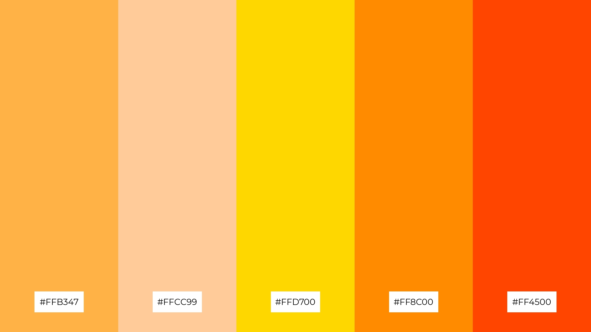 Apricot Dream