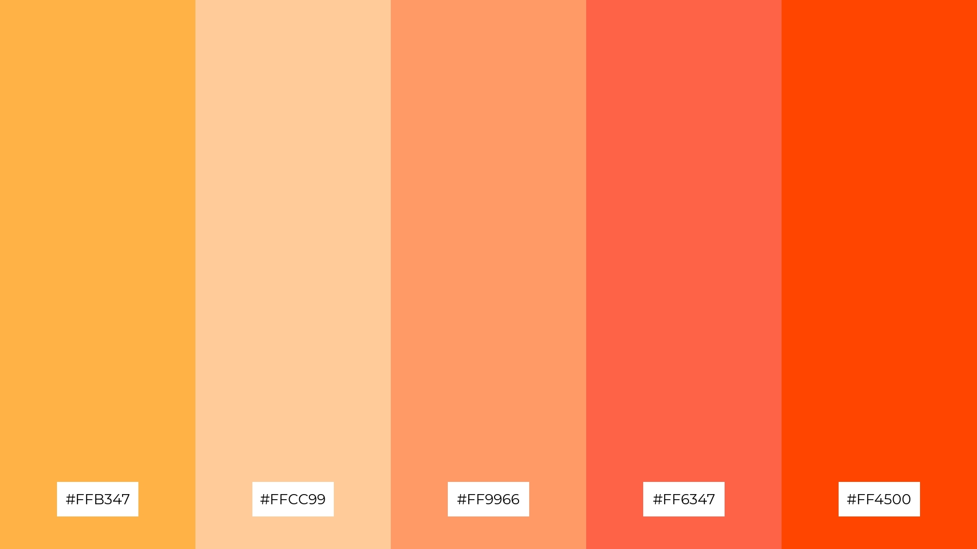 Sunset Apricot
