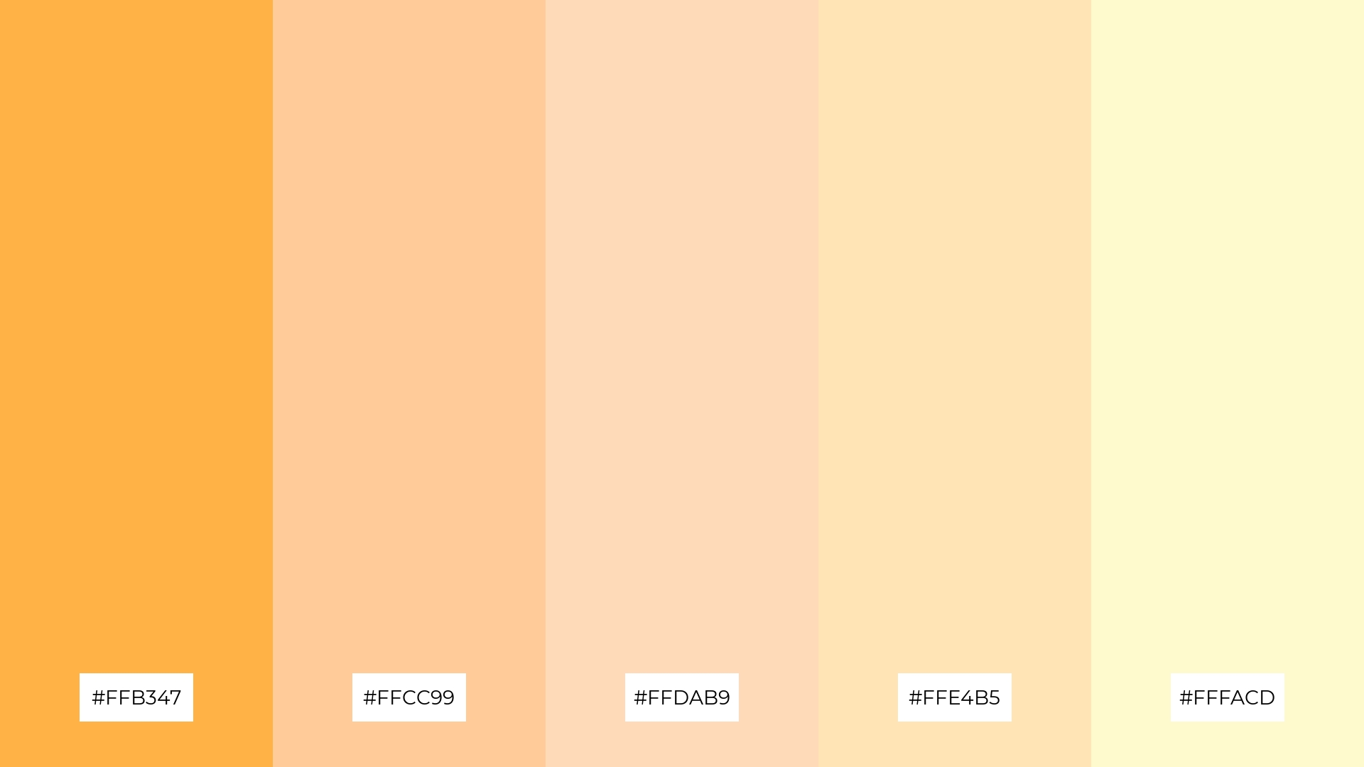 Apricot Delight
