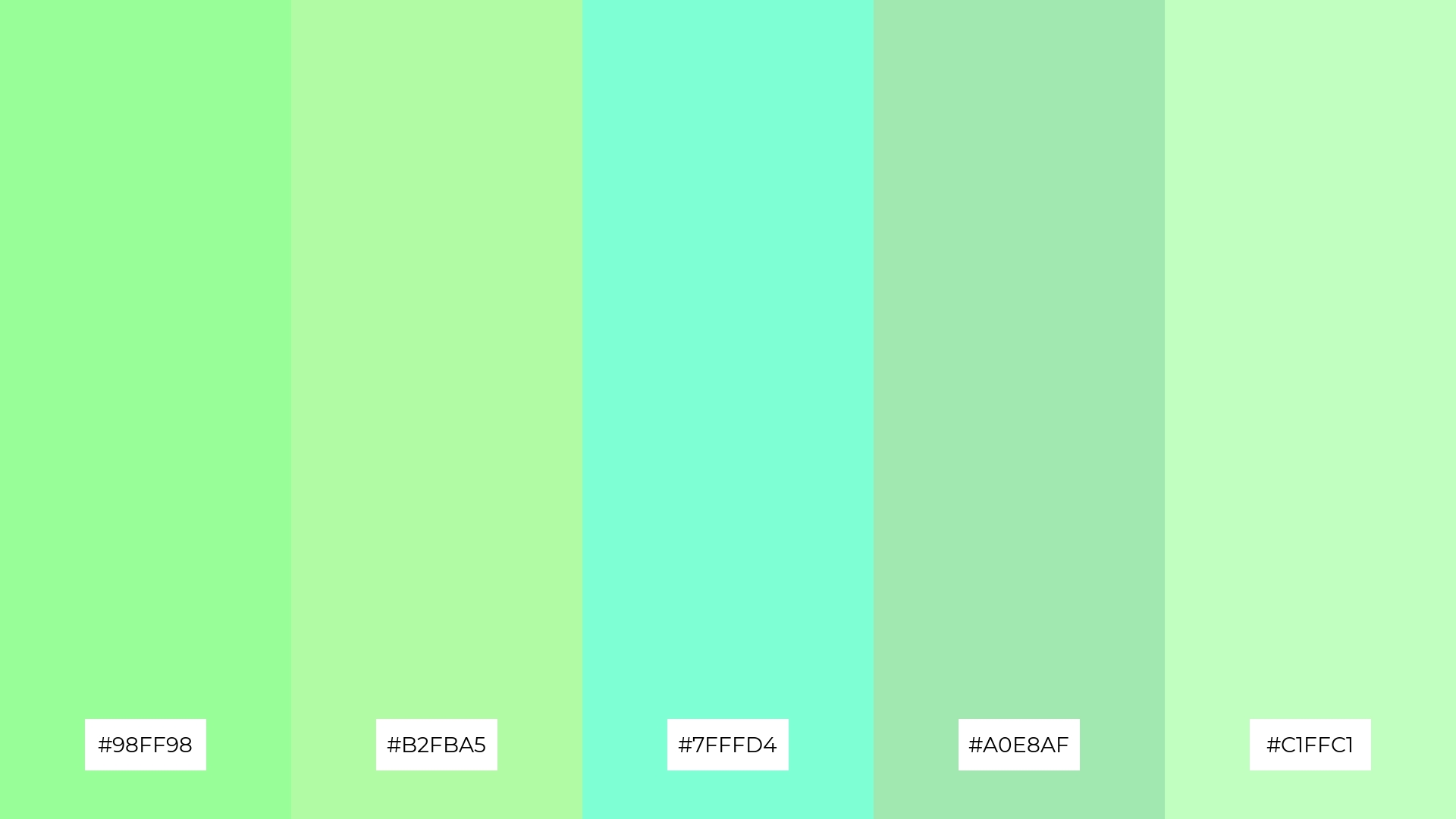 Minty Fresh