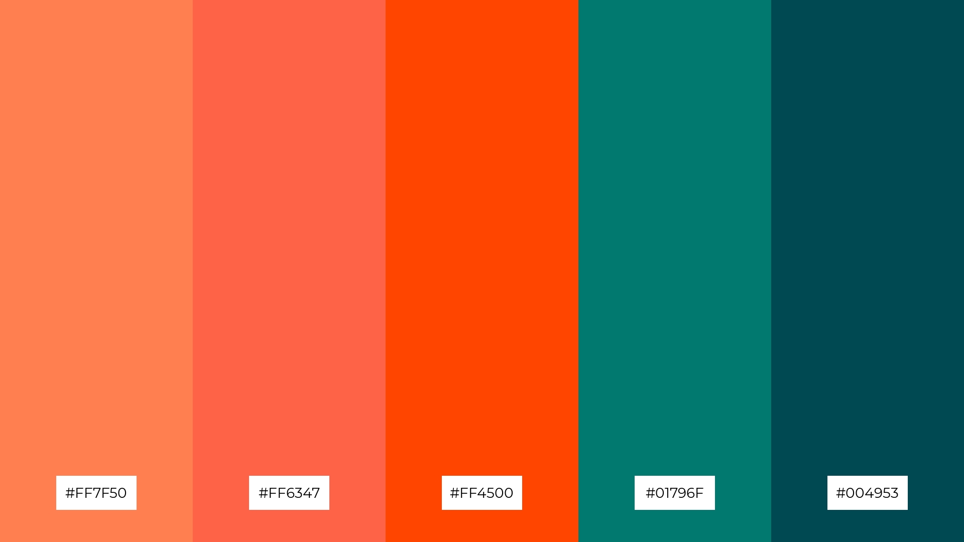 Pine and Coral