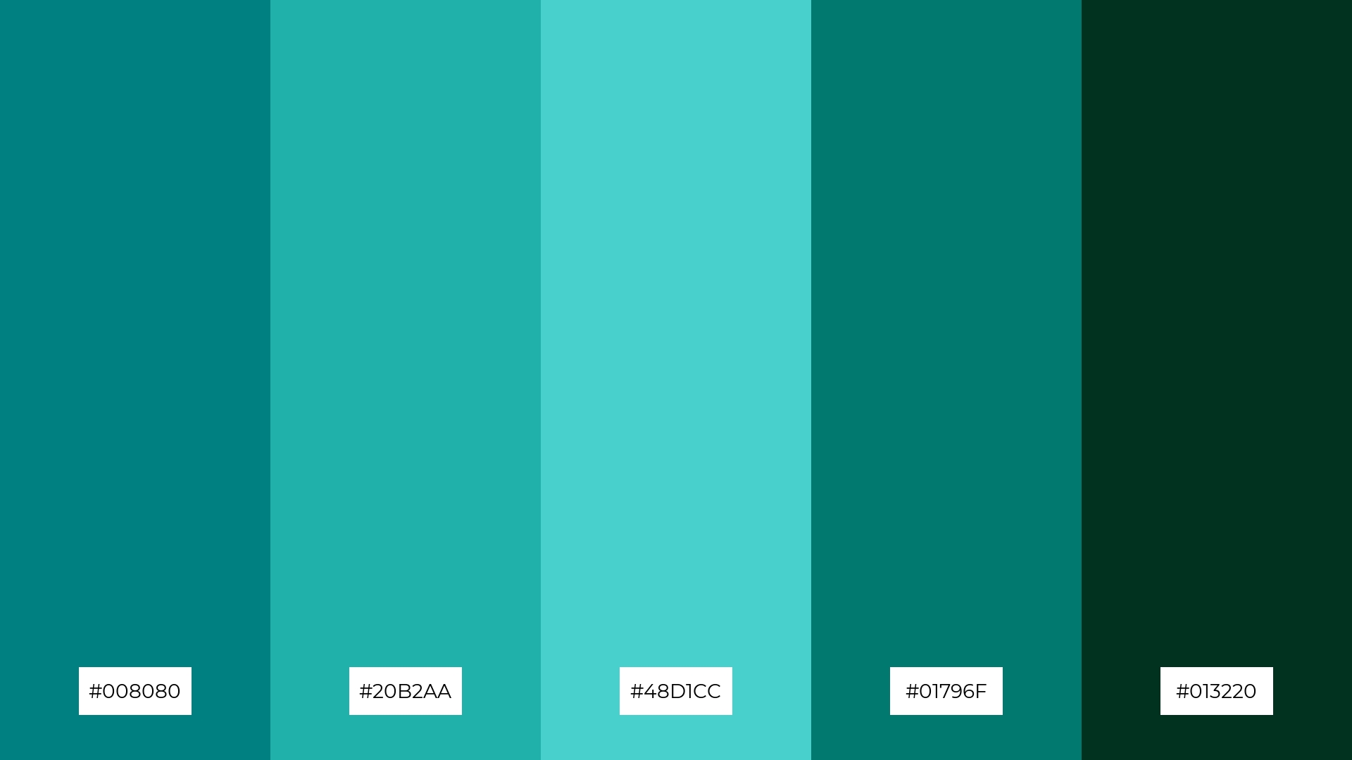 Pine and Teal