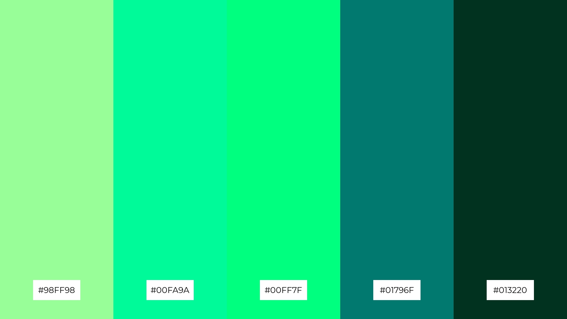 Pine and Mint