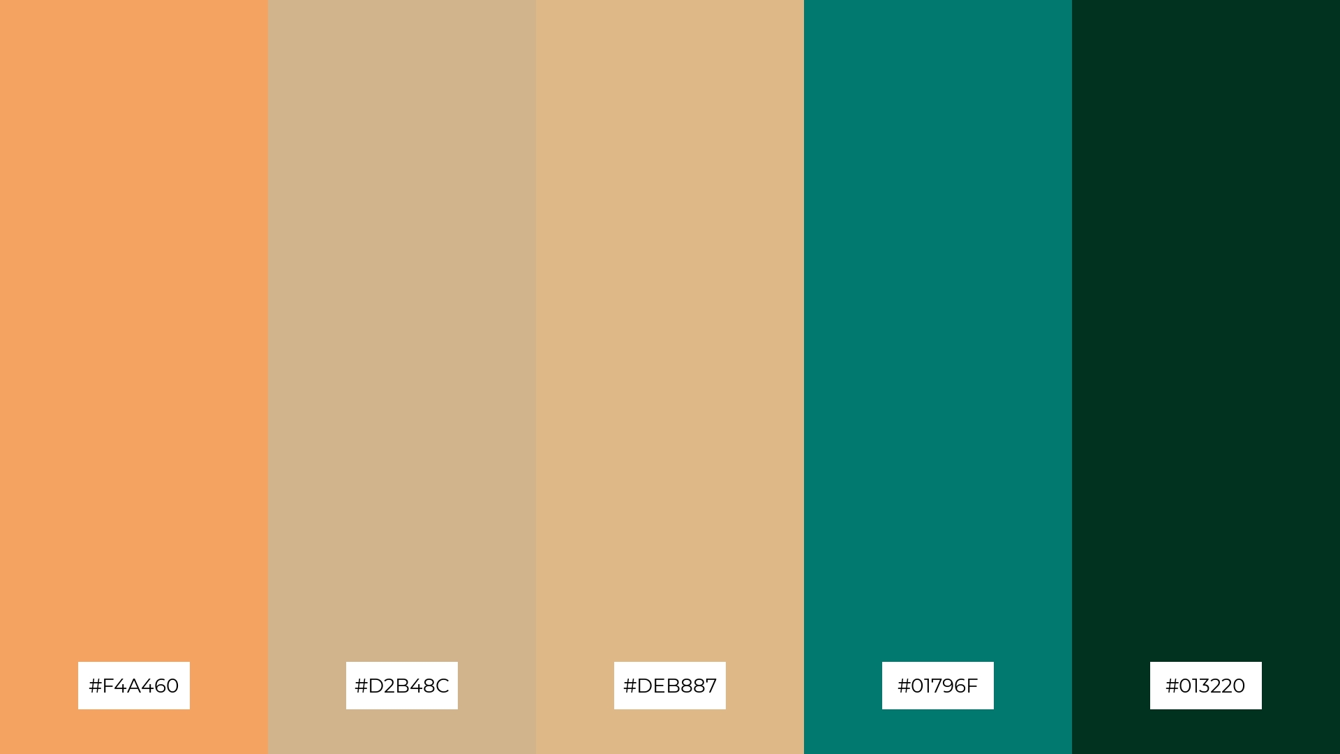 Pine and Sand