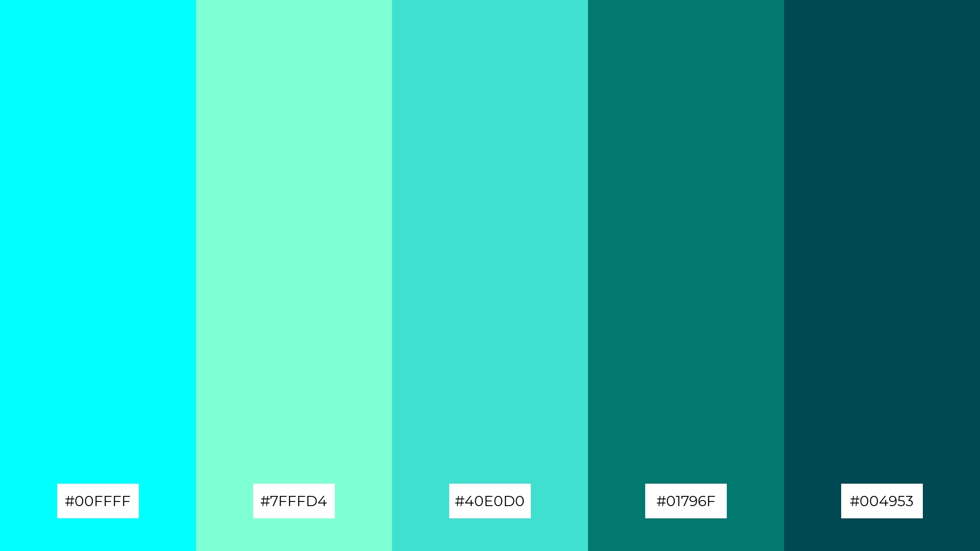 Pine and Aqua