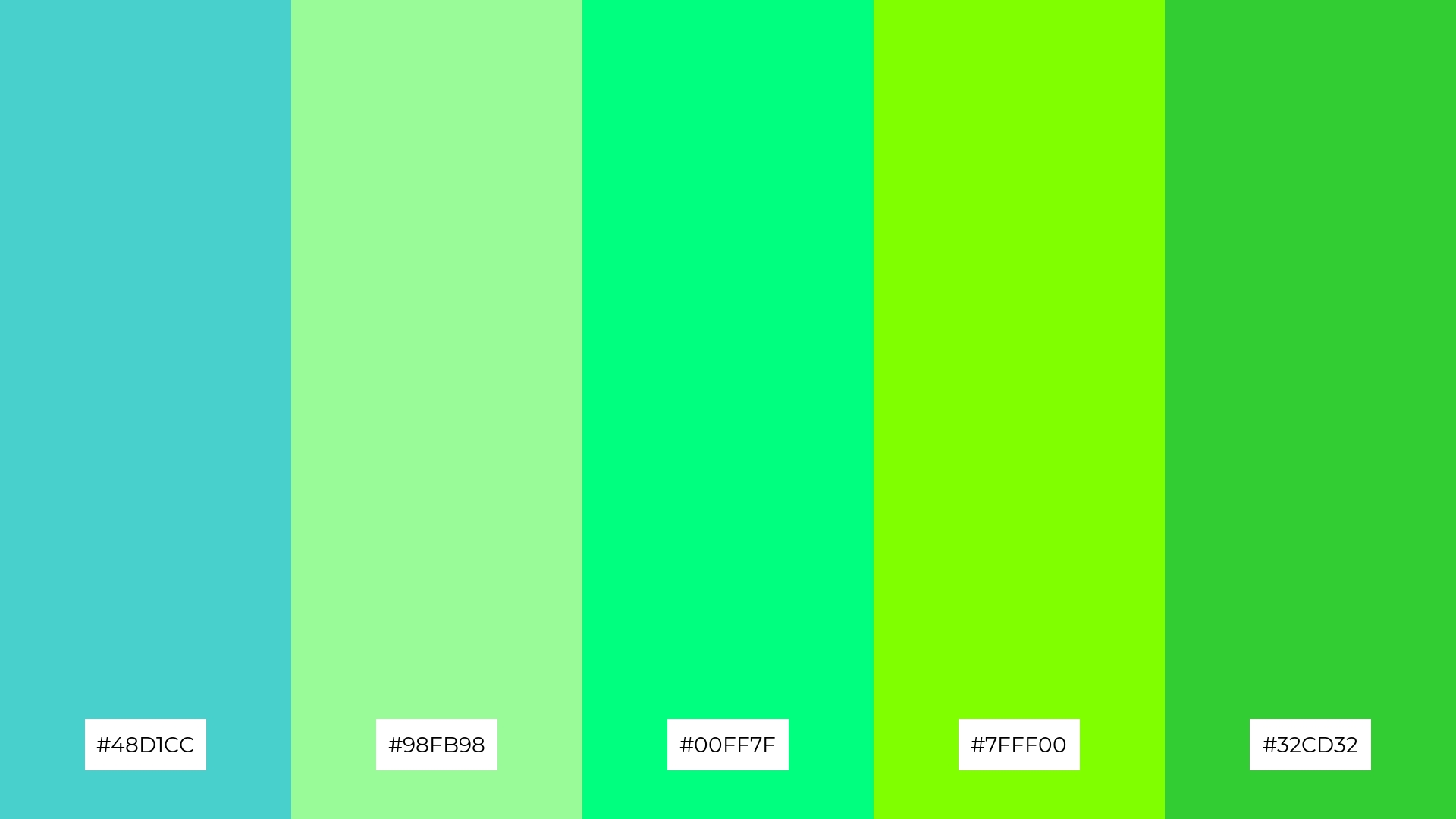 Minty Fresh