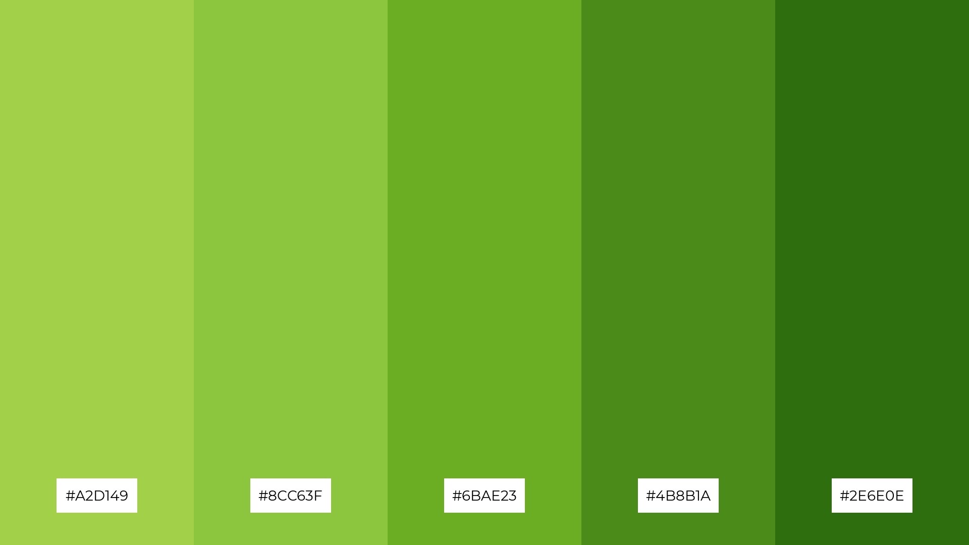 Lime Zest
