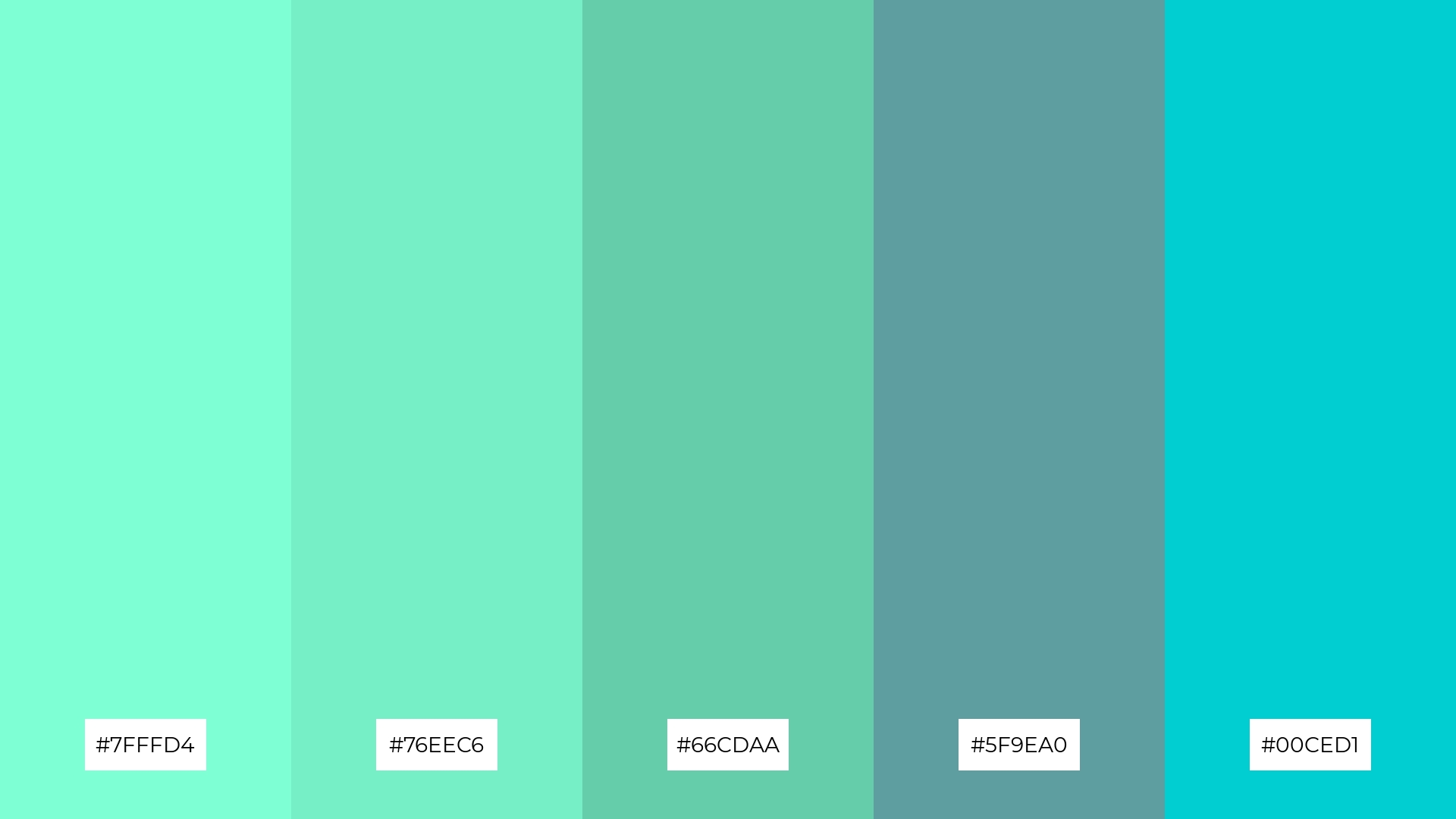 Aqua Dream